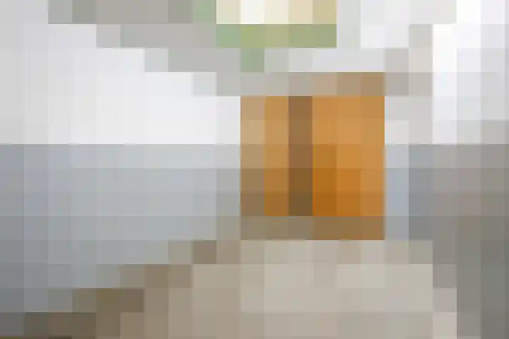 Zwolsekanaal 20 Vroomshoop thumbnail 39