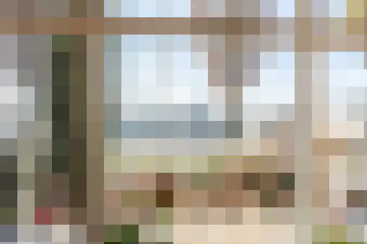 Zwolsekanaal 20 Vroomshoop thumbnail 4