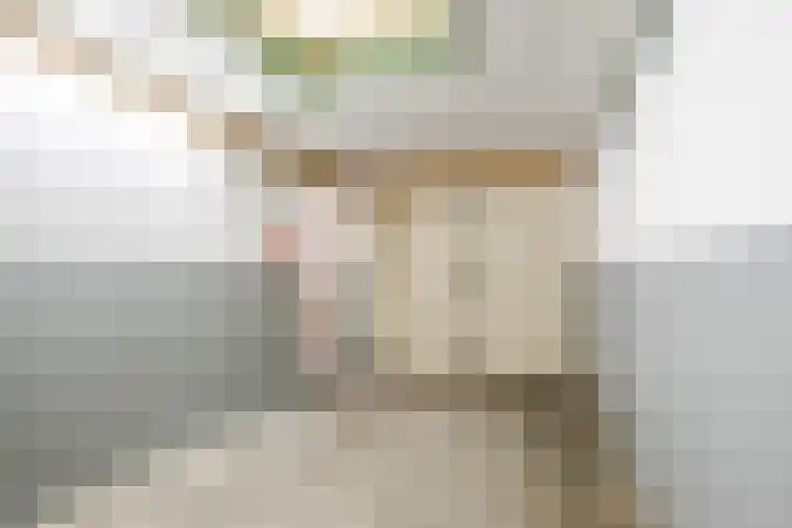 Zwolsekanaal 20 Vroomshoop thumbnail 40