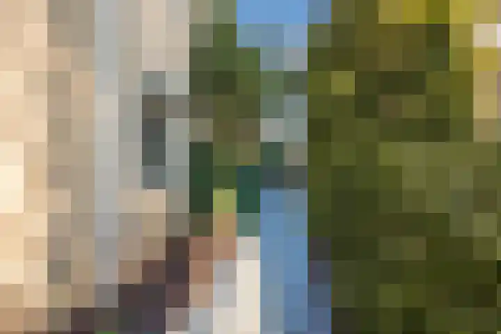 Zwolsekanaal 20 Vroomshoop thumbnail 41
