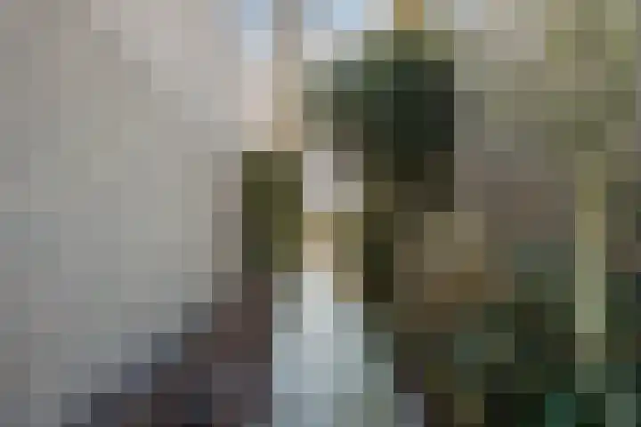 Zwolsekanaal 20 Vroomshoop thumbnail 42