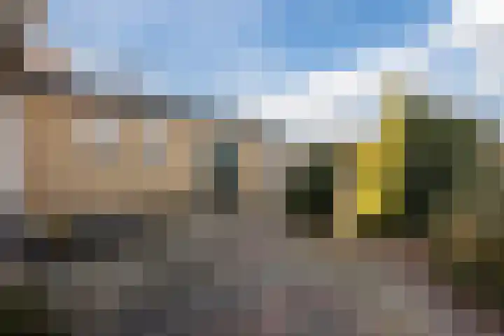 Zwolsekanaal 20 Vroomshoop thumbnail 43