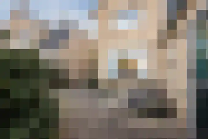 Zwolsekanaal 20 Vroomshoop thumbnail 45