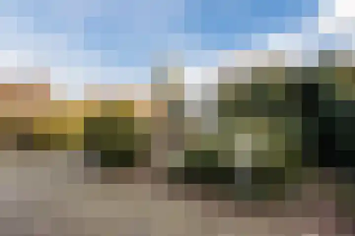 Zwolsekanaal 20 Vroomshoop thumbnail 46