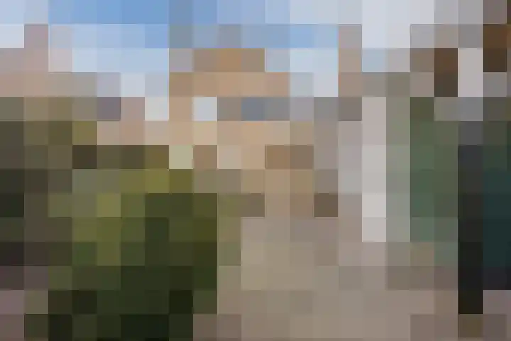 Zwolsekanaal 20 Vroomshoop thumbnail 47