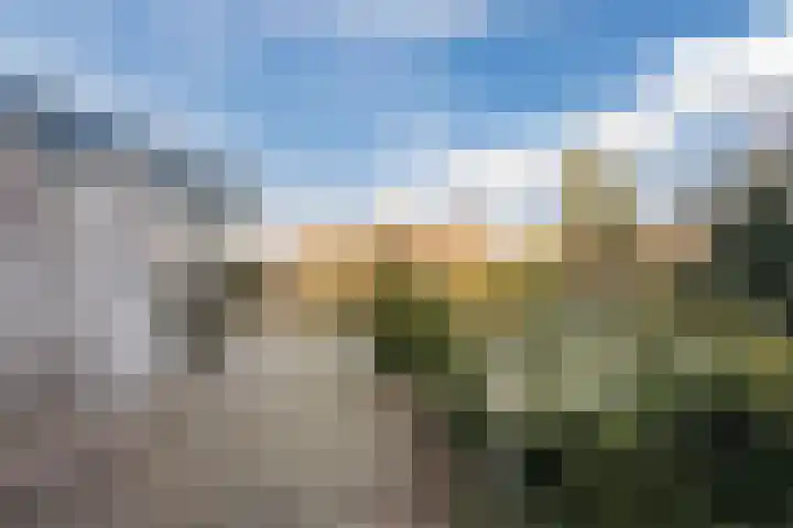Zwolsekanaal 20 Vroomshoop thumbnail 5