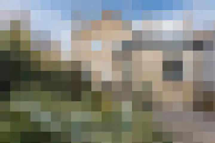 Zwolsekanaal 20 Vroomshoop thumbnail 51