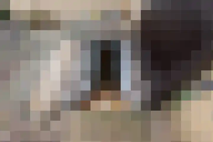 Zwolsekanaal 20 Vroomshoop thumbnail 52