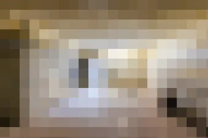 Zwolsekanaal 20 Vroomshoop thumbnail 53