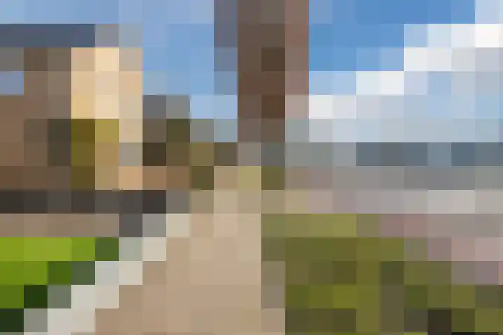 Zwolsekanaal 20 Vroomshoop thumbnail 54