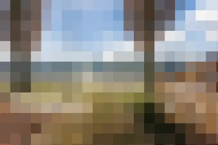 Zwolsekanaal 20 Vroomshoop thumbnail 55