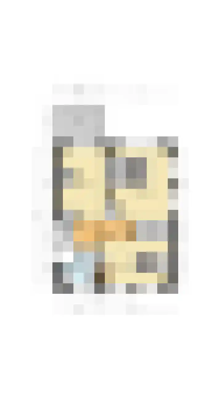 Zwolsekanaal 20 Vroomshoop thumbnail 59