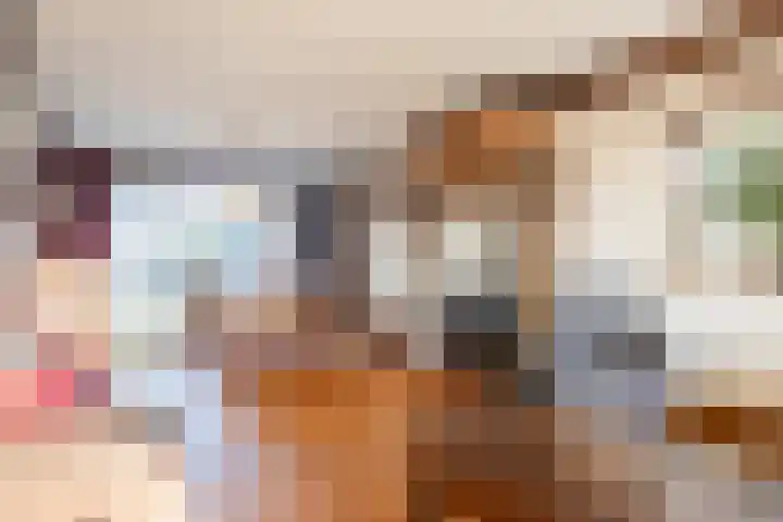 Zwolsekanaal 20 Vroomshoop thumbnail 7