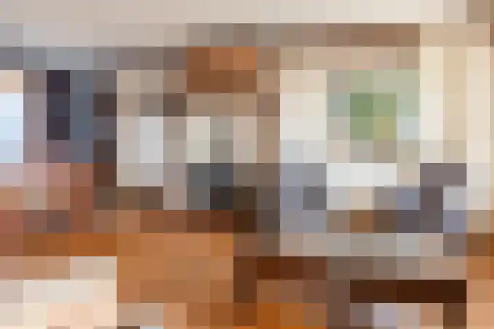 Zwolsekanaal 20 Vroomshoop thumbnail 9