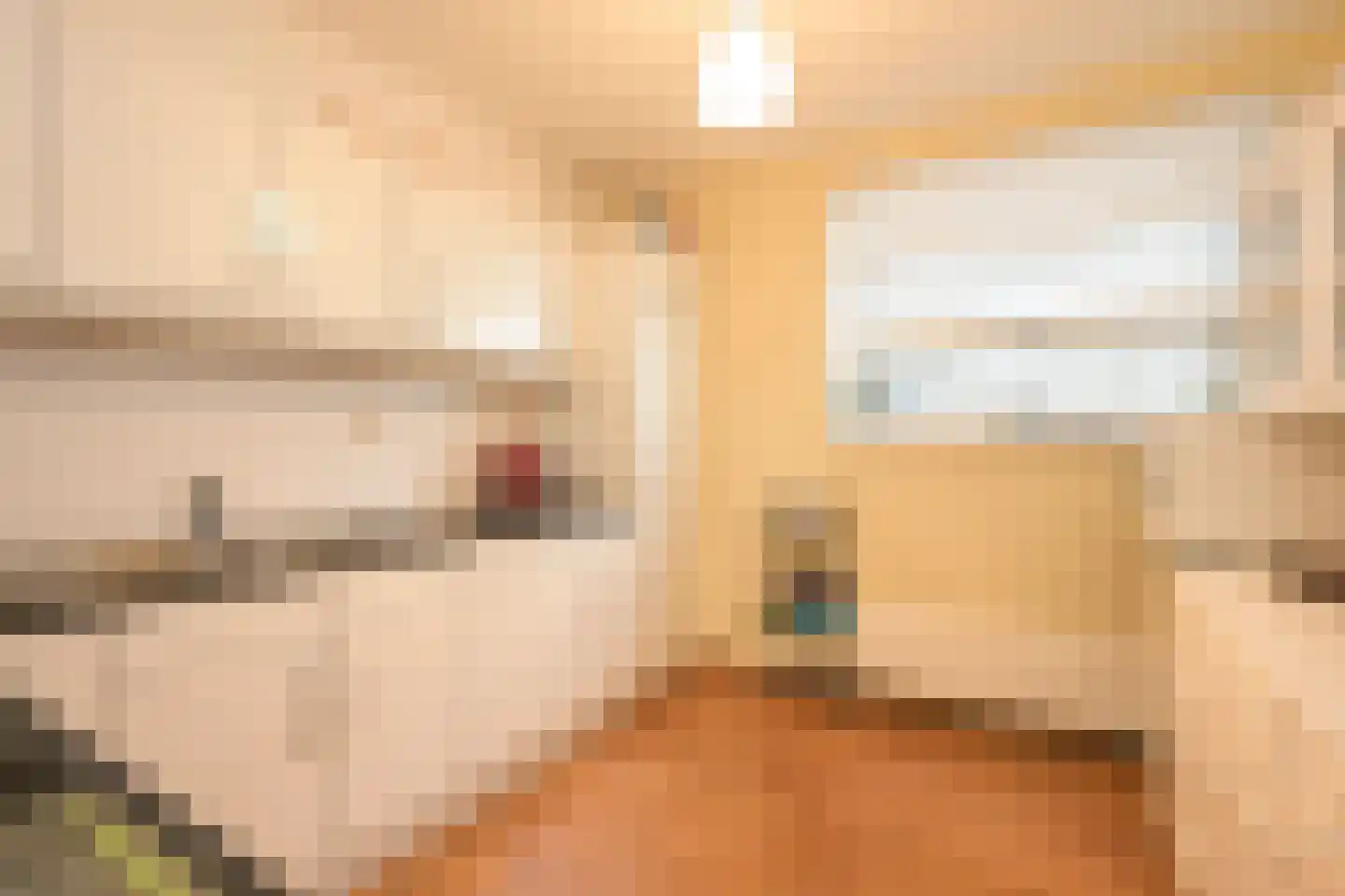 Zwolsestraat 1 C Den Haag thumbnail 13