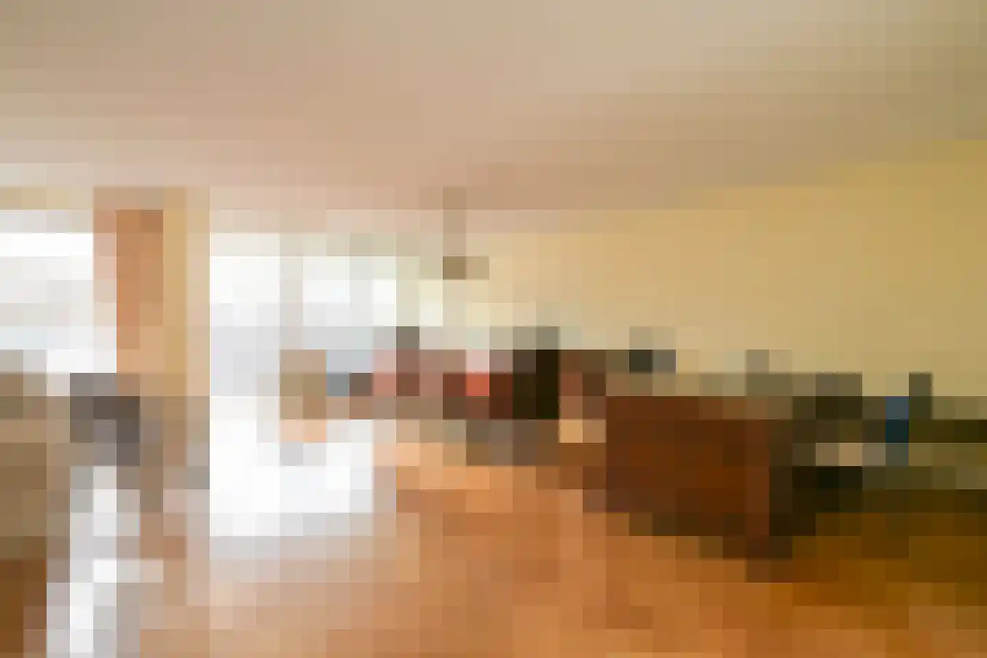 Zwolsestraat 1 C Den Haag thumbnail 6