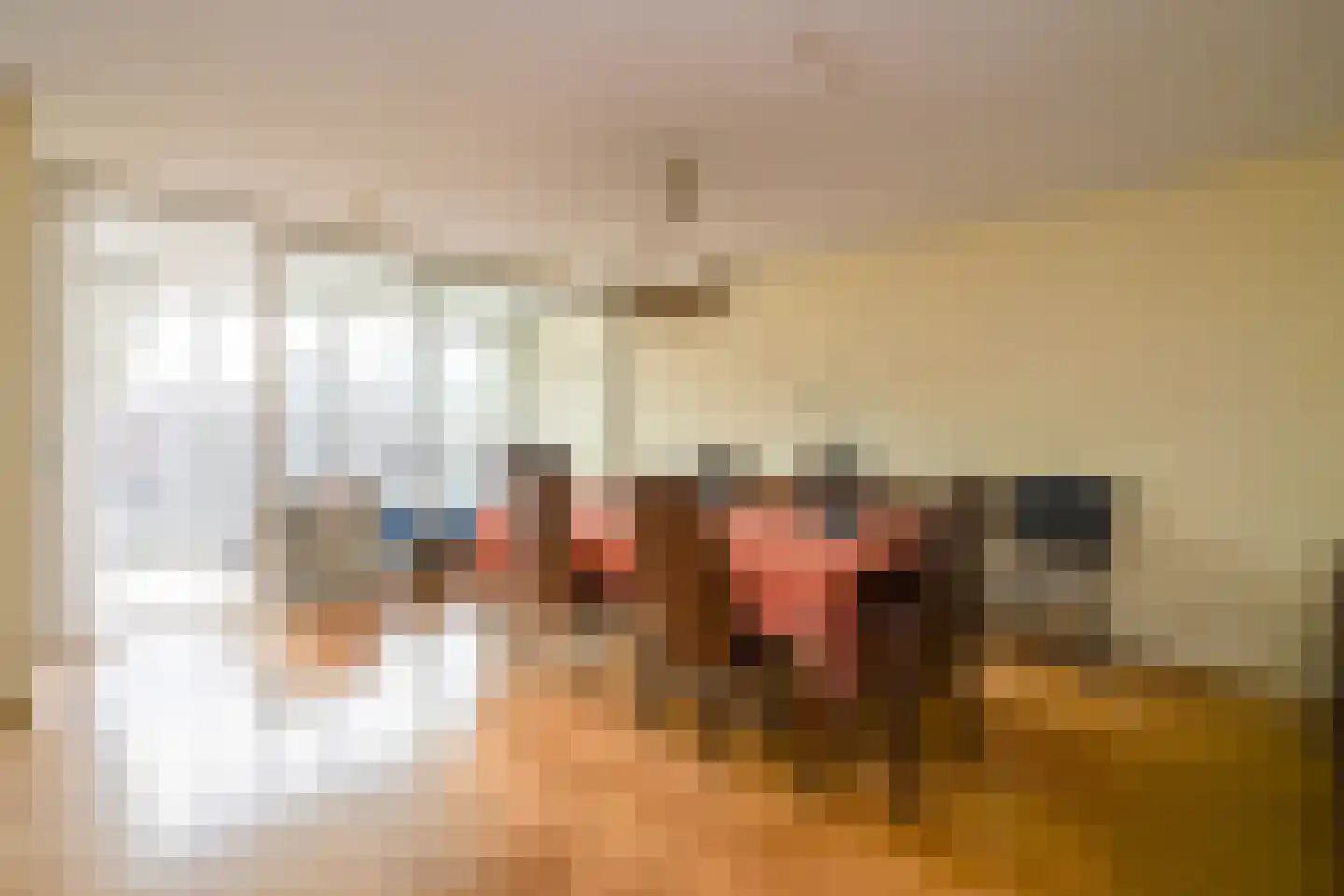Zwolsestraat 1 C Den Haag thumbnail 7