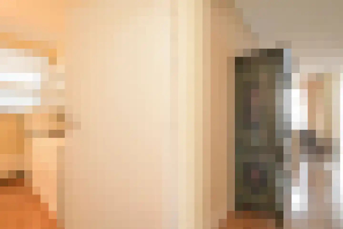 Zwolsestraat 1 G Den Haag thumbnail 12