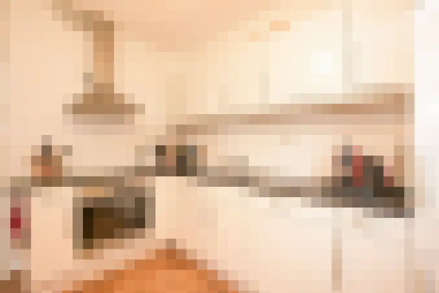 Zwolsestraat 1 G Den Haag thumbnail 14