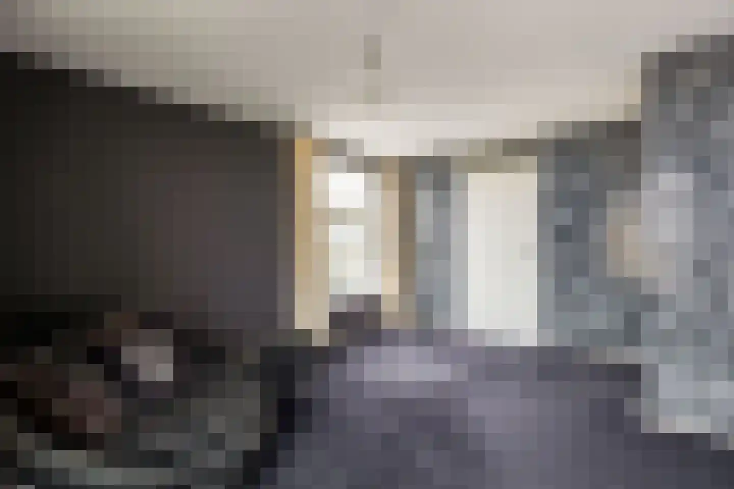 Zwolsestraat 11 B Den Haag thumbnail 12