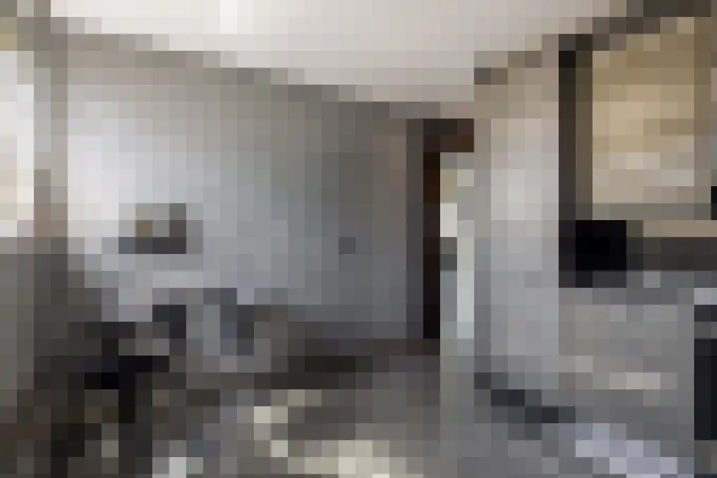 Zwolsestraat 11 B Den Haag thumbnail 21