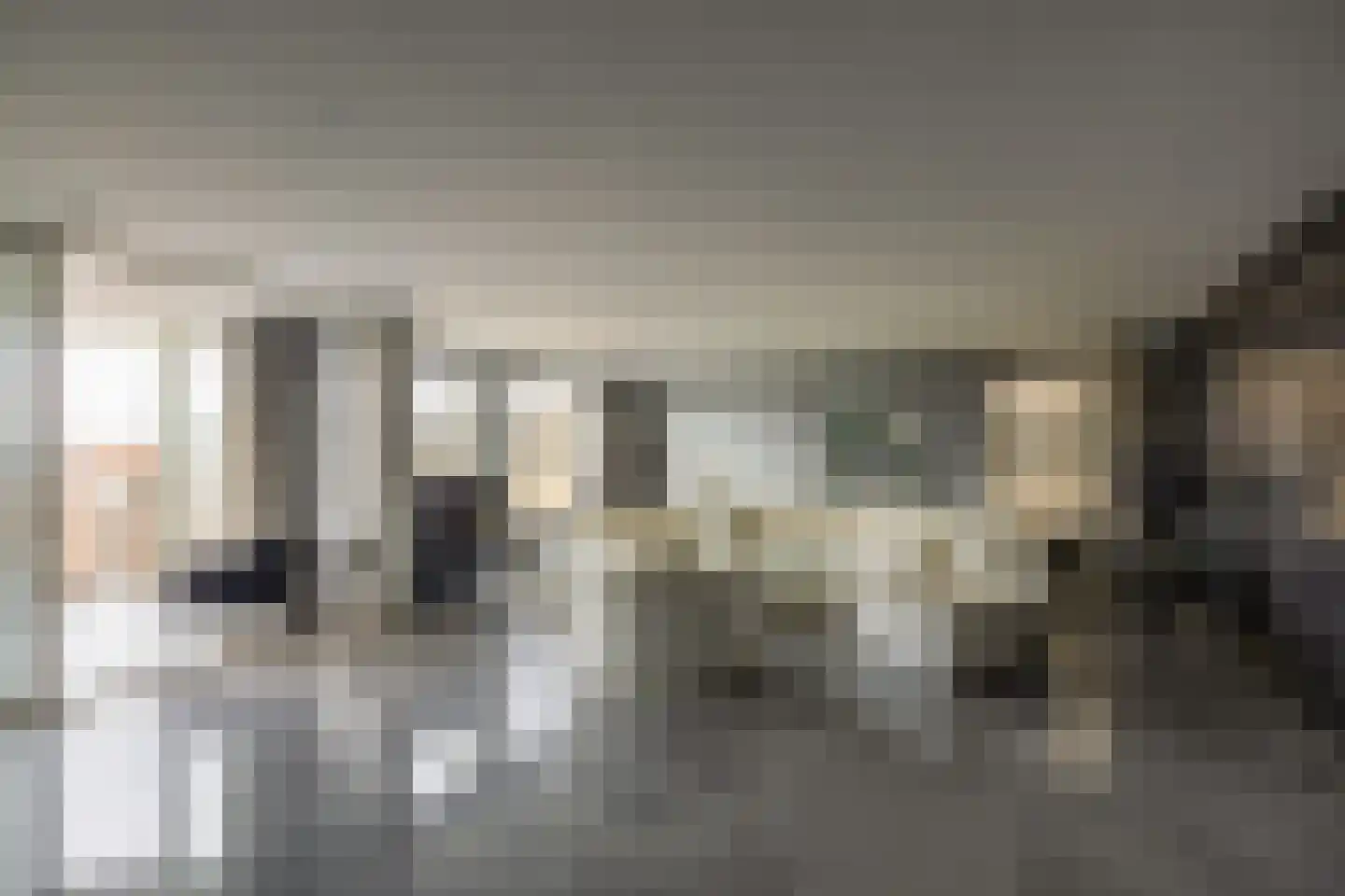 Zwolsestraat 11 B Den Haag thumbnail 33