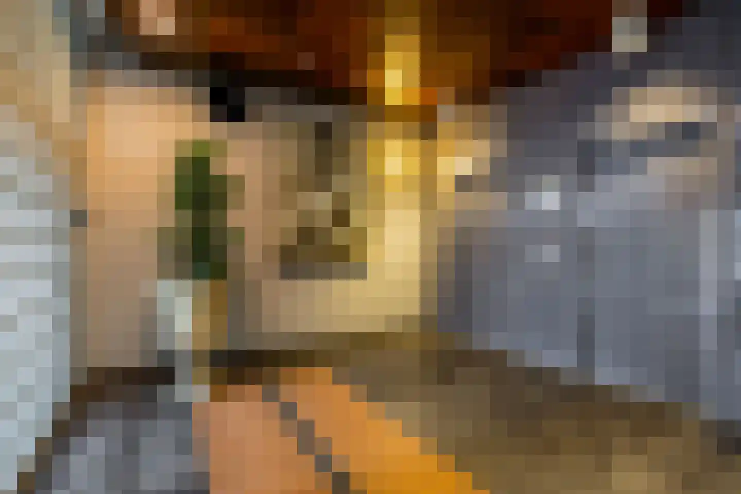Zwolsestraat 11 B Den Haag thumbnail 6