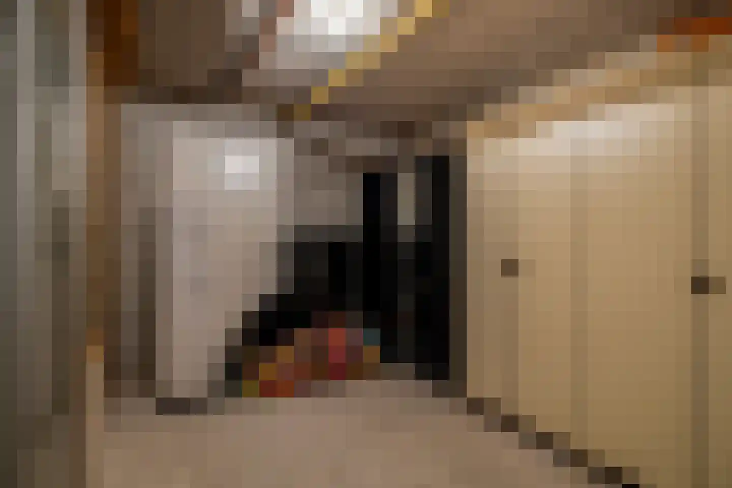Zwolsestraat 11 B Den Haag thumbnail 61