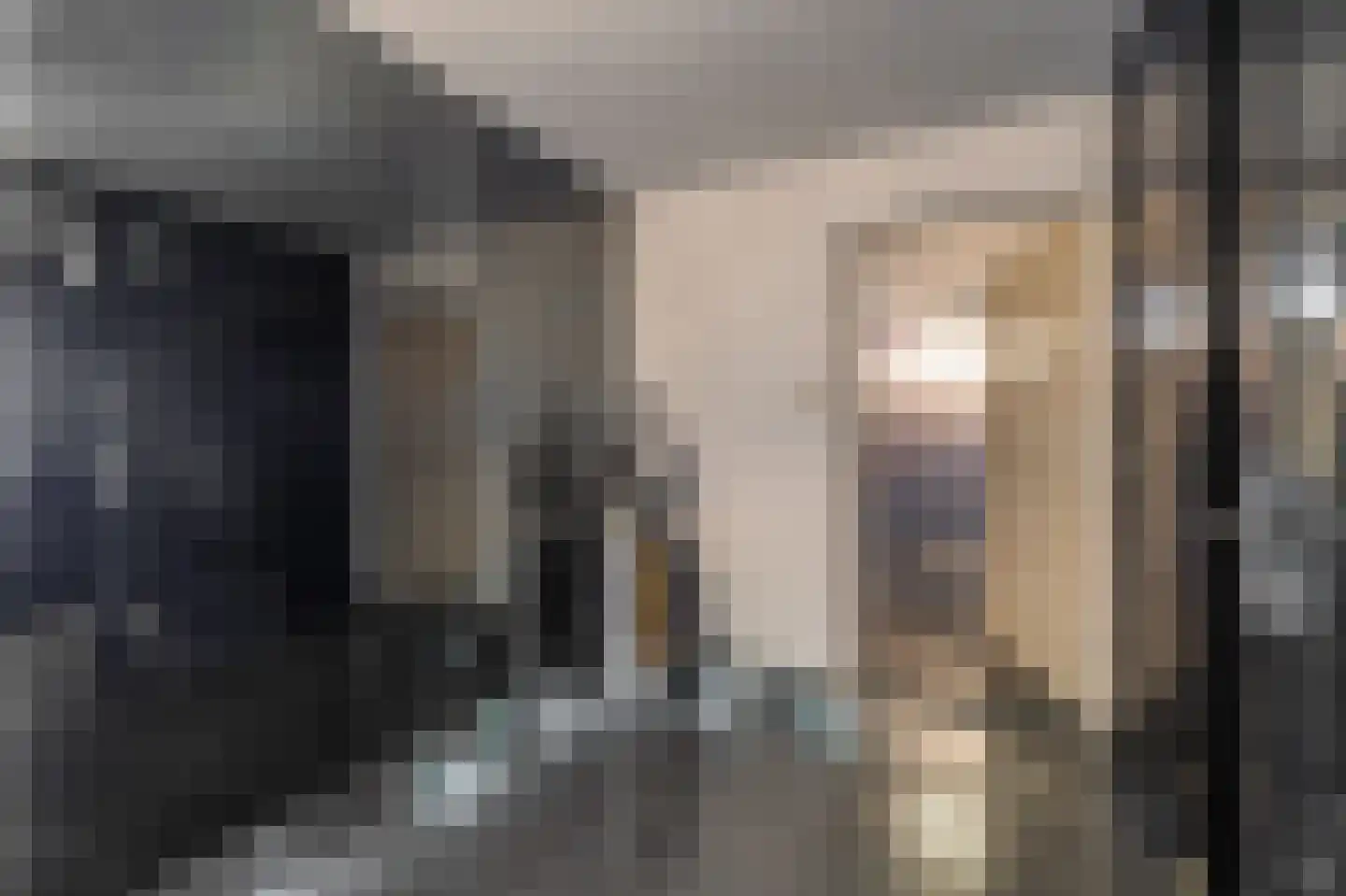 Zwolsestraat 11 B Den Haag thumbnail 7