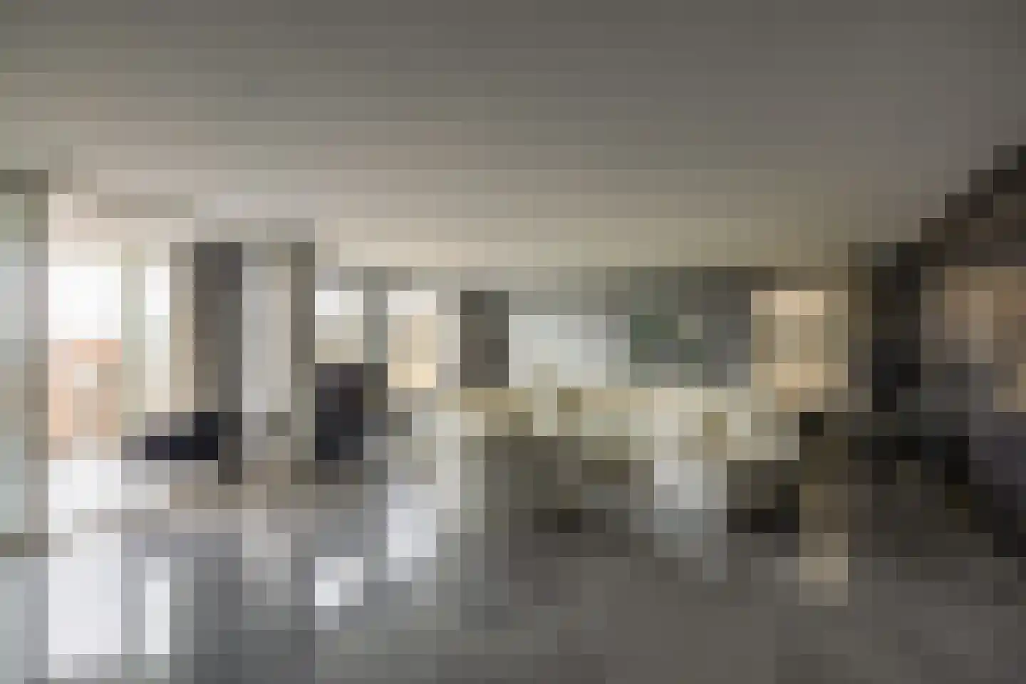 Zwolsestraat 11 F Den Haag thumbnail 33