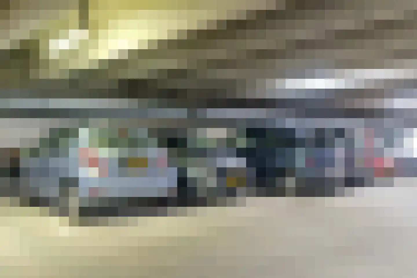Zwolsestraat 146 Den Haag thumbnail 33