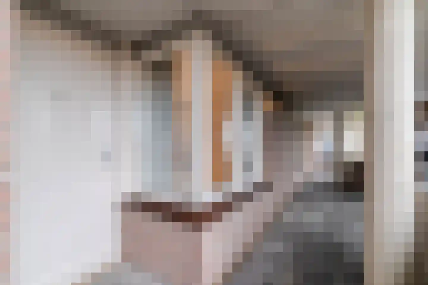 Zwolsestraat 146 Den Haag thumbnail 9
