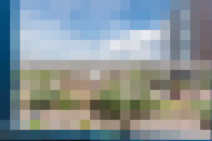 Zwolsestraat 202 Den Haag thumbnail 27