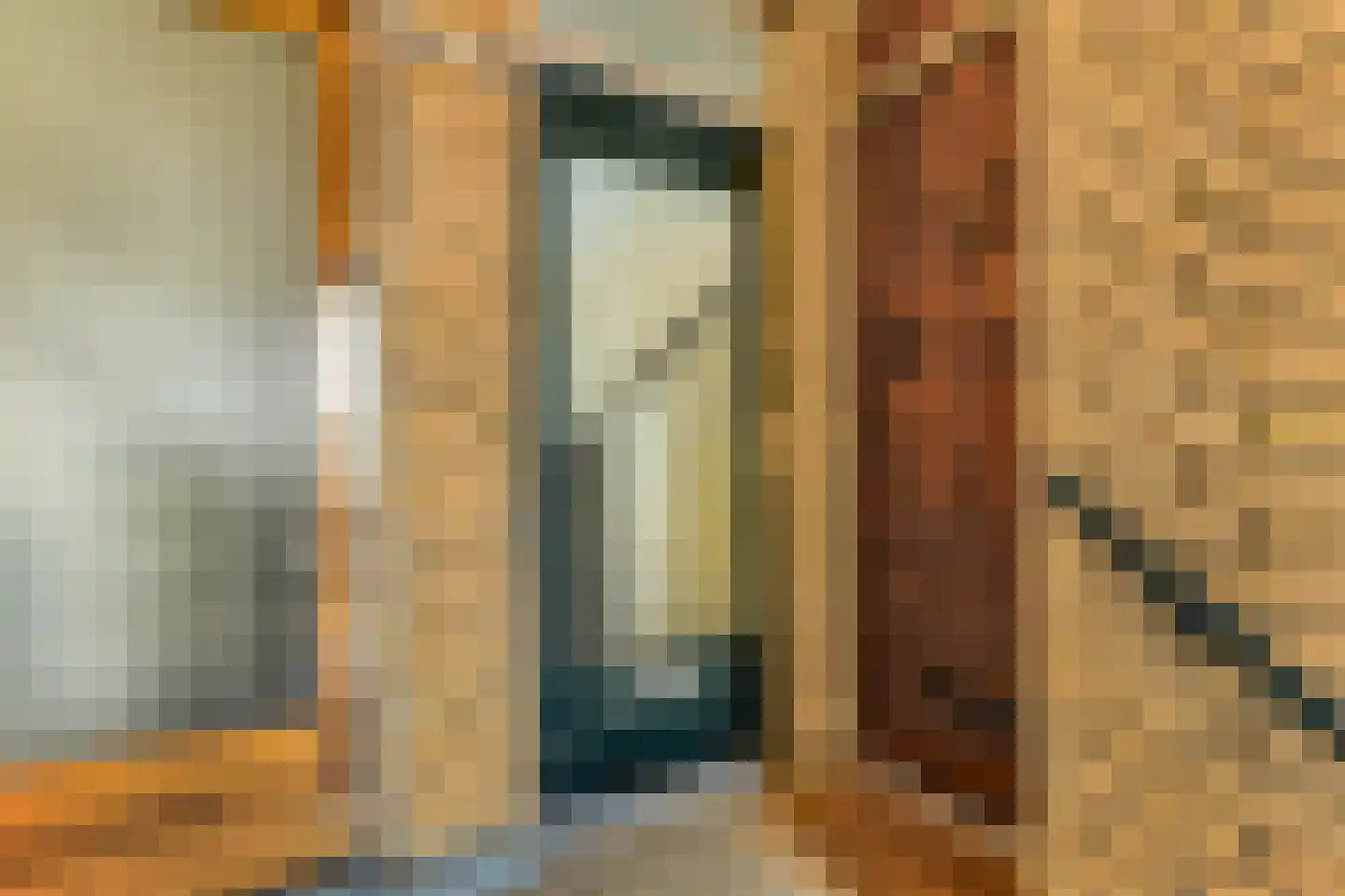 Zwolsestraat 205 Den Haag thumbnail 10