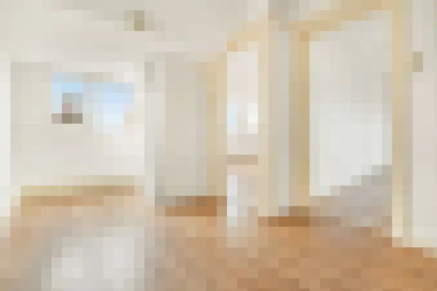Zwolsestraat 205 Den Haag thumbnail 43