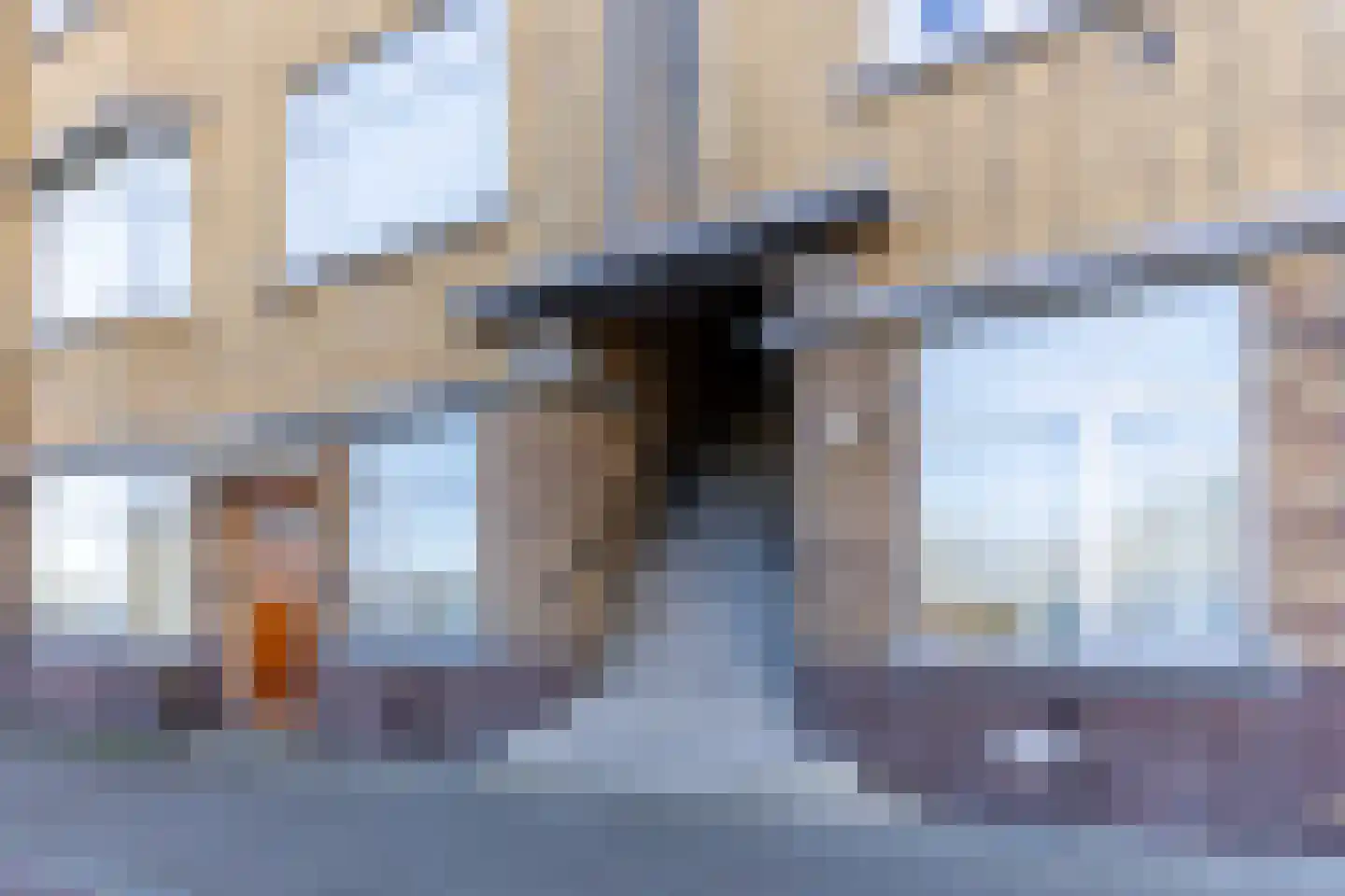 Zwolsestraat 219 Den Haag thumbnail 7