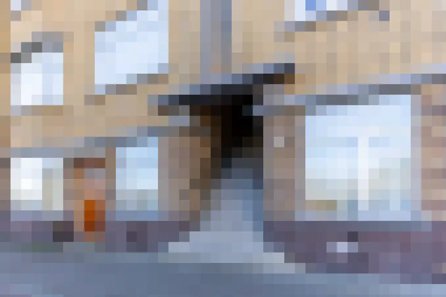 Zwolsestraat 219 Den Haag thumbnail 7