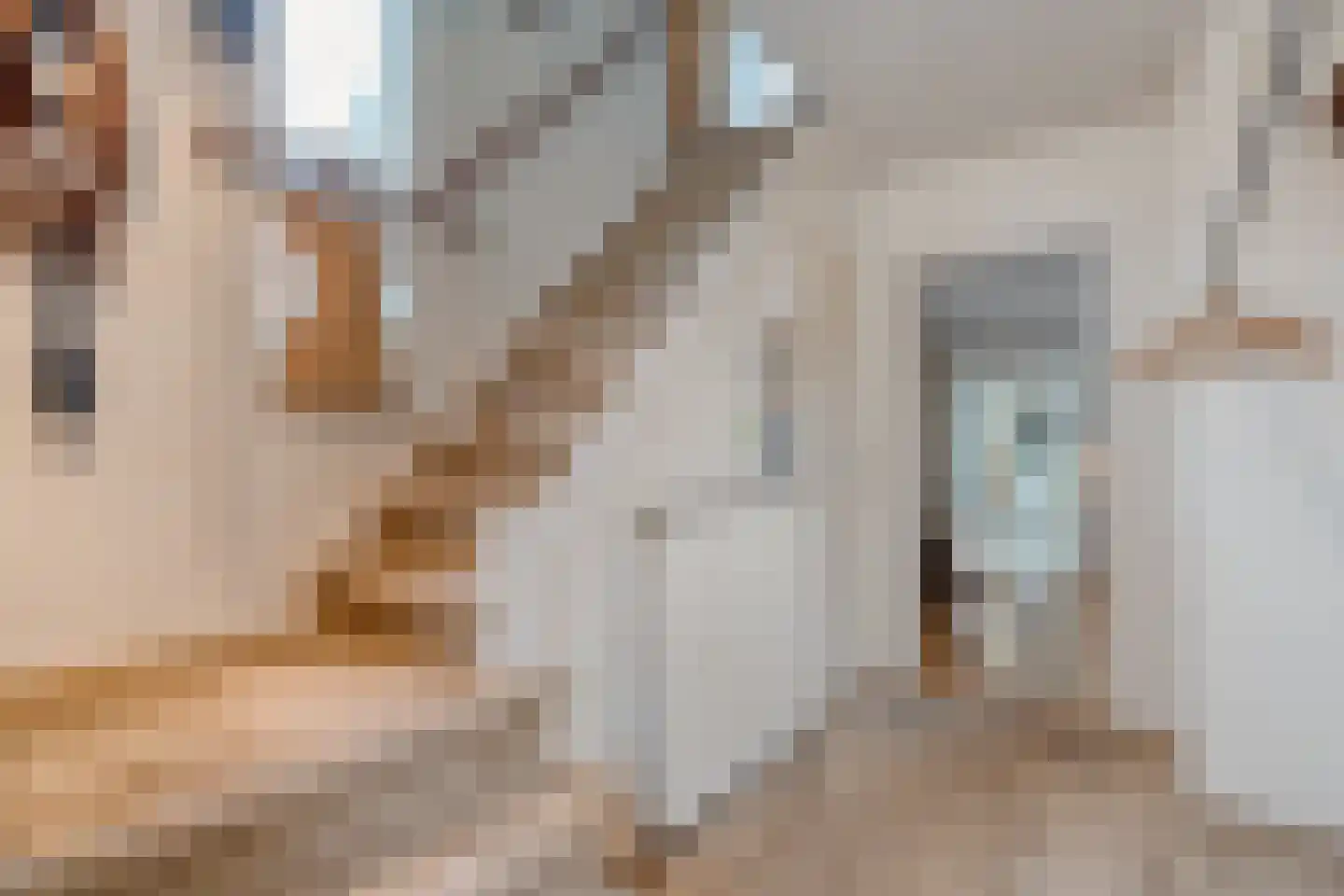 Zwolsestraat 24 Raalte thumbnail 13