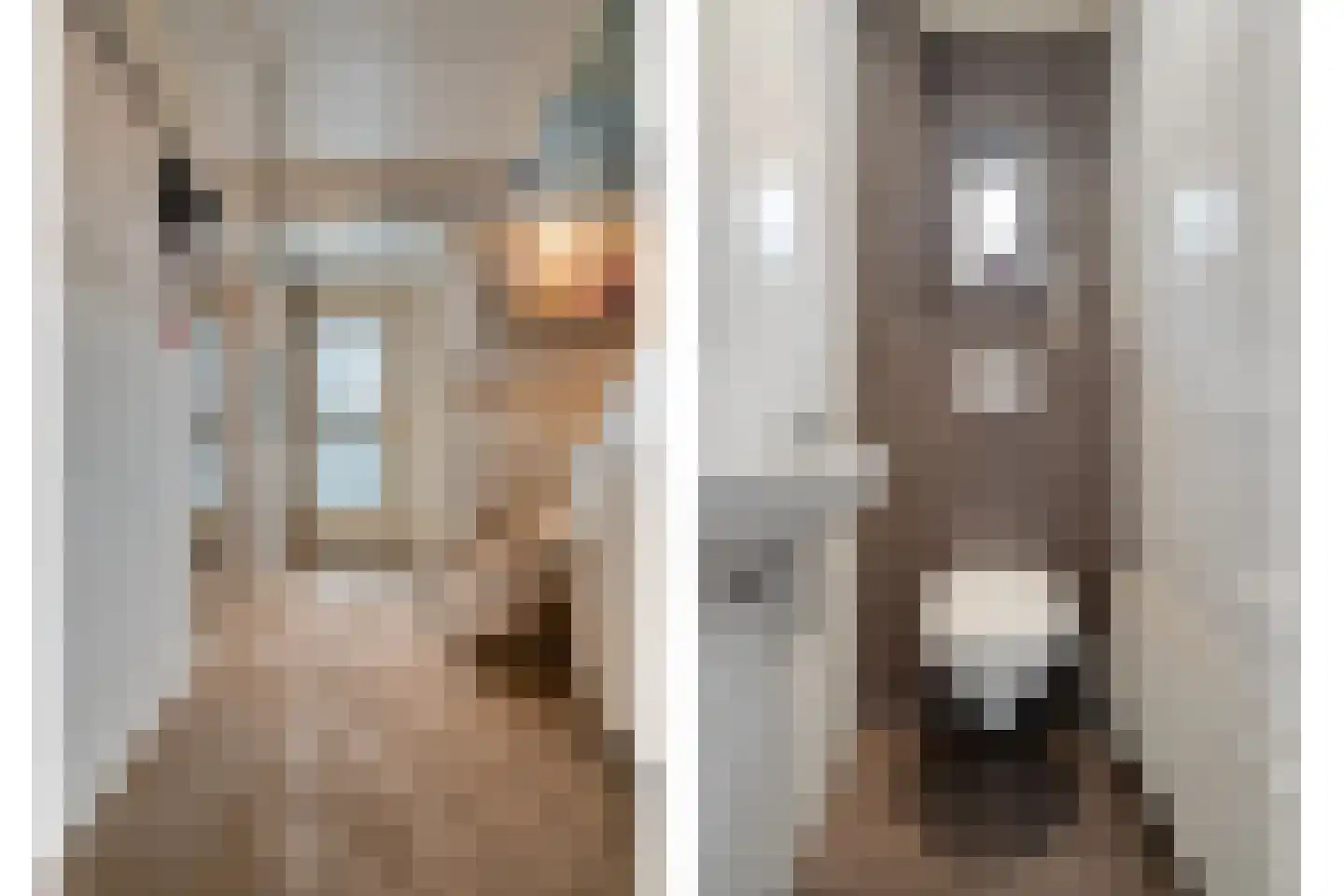 Zwolsestraat 24 Raalte thumbnail 14