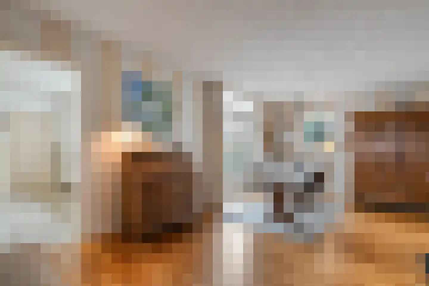 Zwolsestraat 24 Raalte thumbnail 15