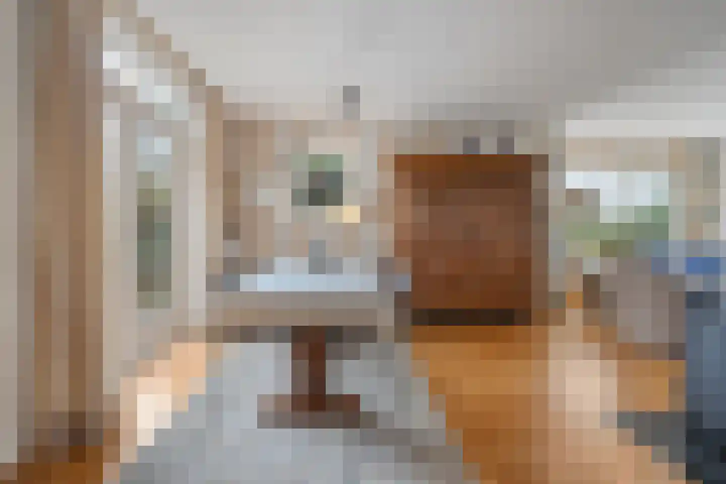 Zwolsestraat 24 Raalte thumbnail 17