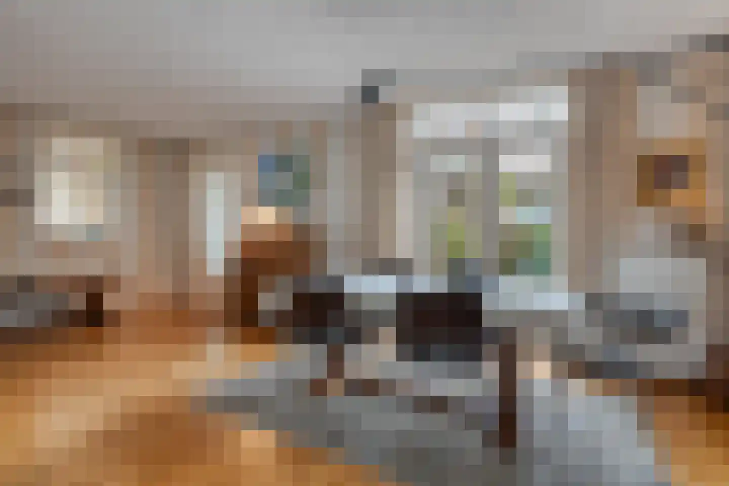 Zwolsestraat 24 Raalte thumbnail 18