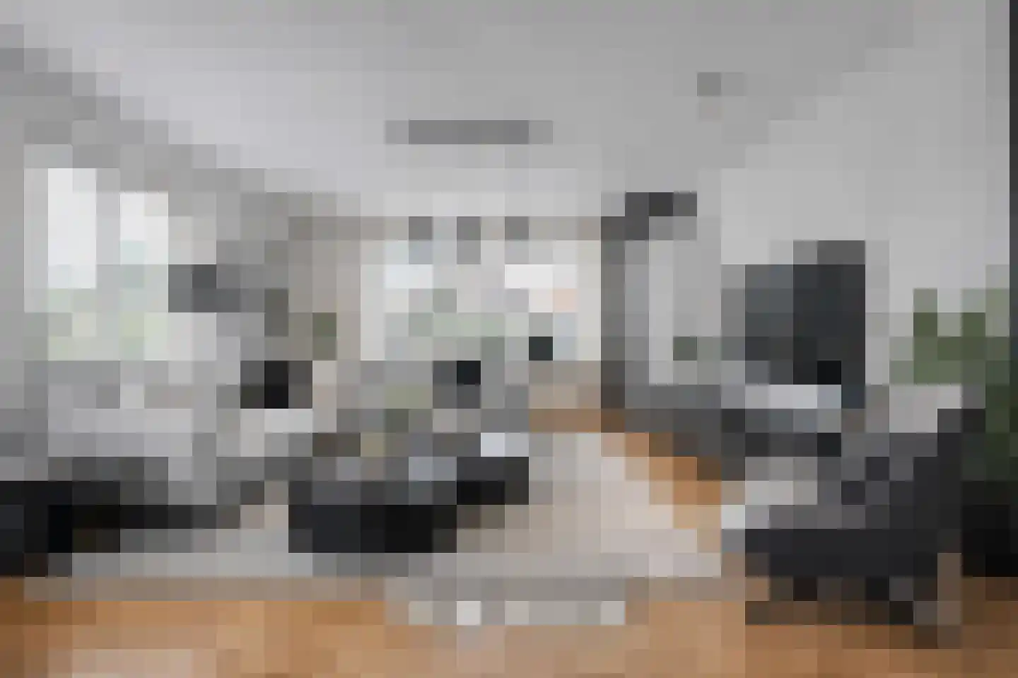 Zwolsestraat 24 Raalte thumbnail 20