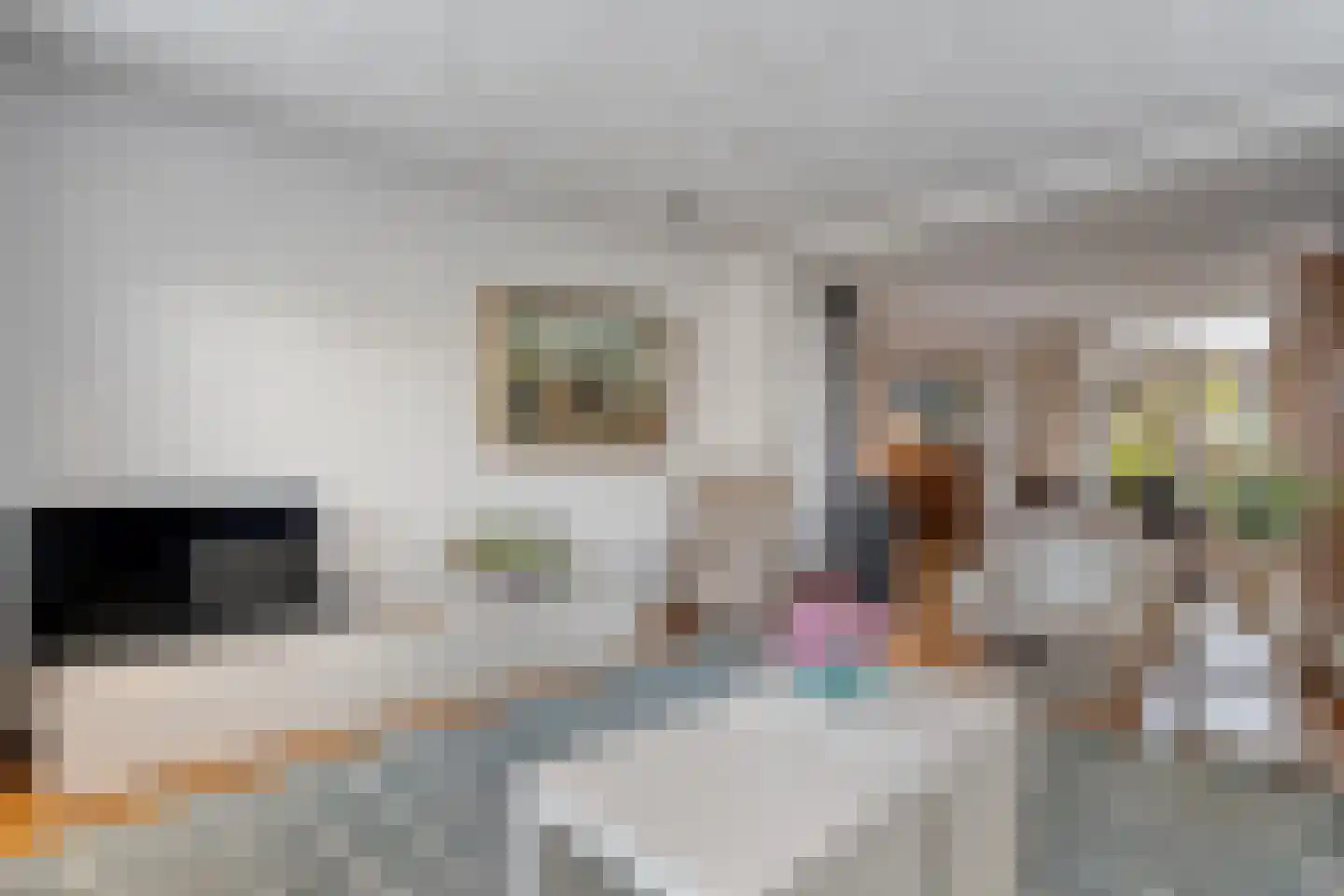 Zwolsestraat 24 Raalte thumbnail 22