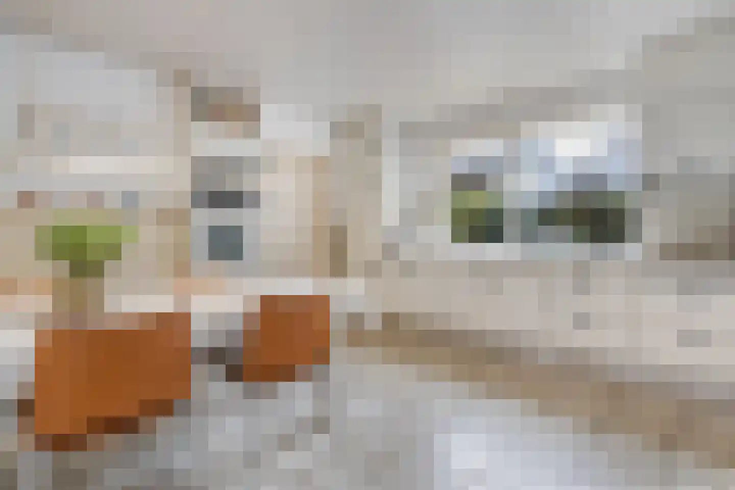 Zwolsestraat 24 Raalte thumbnail 23