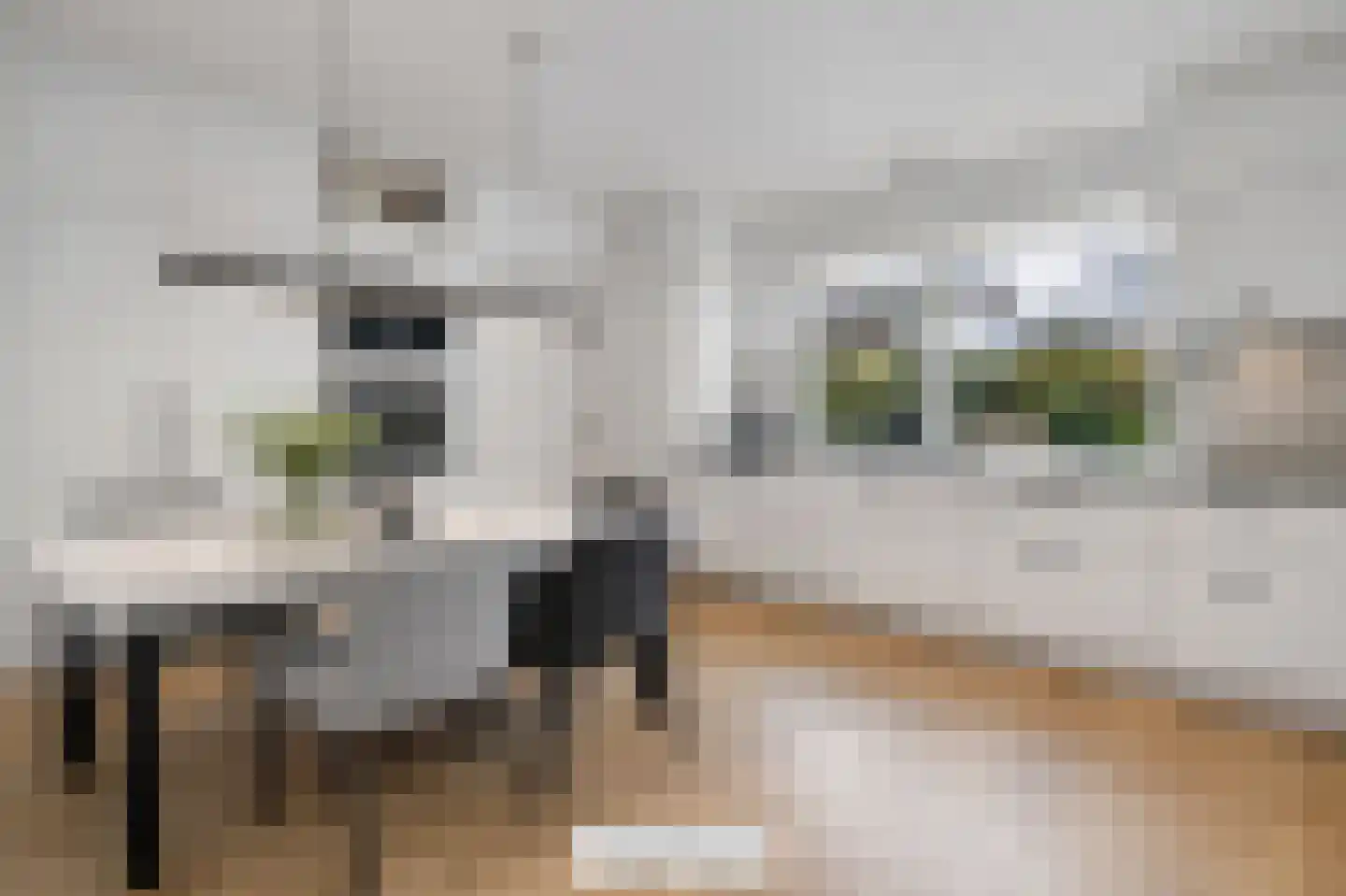 Zwolsestraat 24 Raalte thumbnail 24