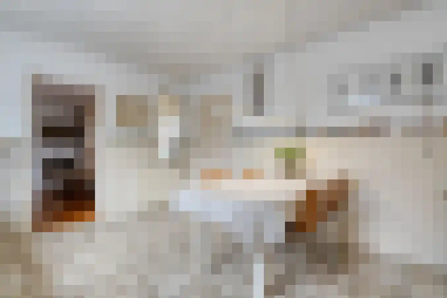 Zwolsestraat 24 Raalte thumbnail 25