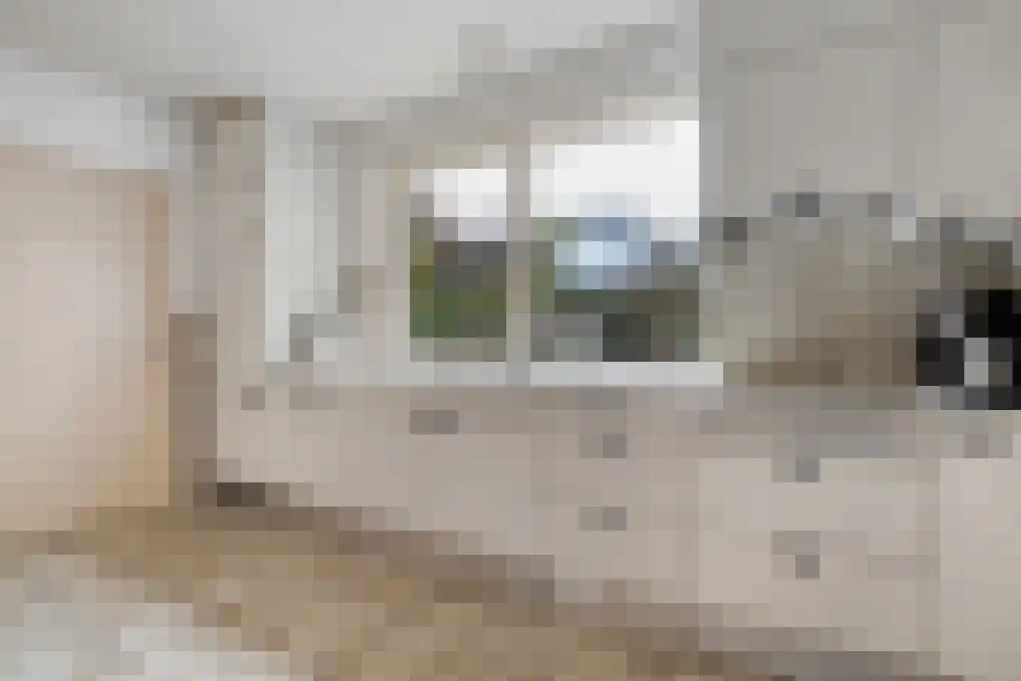 Zwolsestraat 24 Raalte thumbnail 26