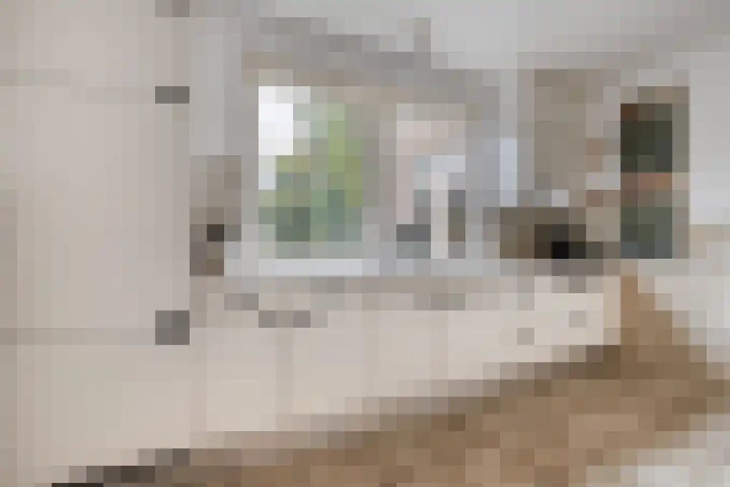 Zwolsestraat 24 Raalte thumbnail 28