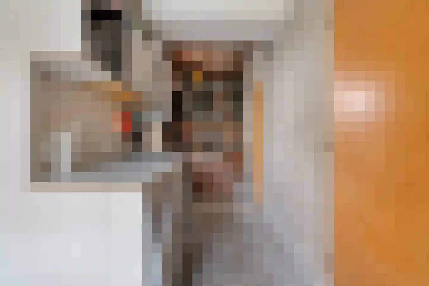 Zwolsestraat 24 Raalte thumbnail 29